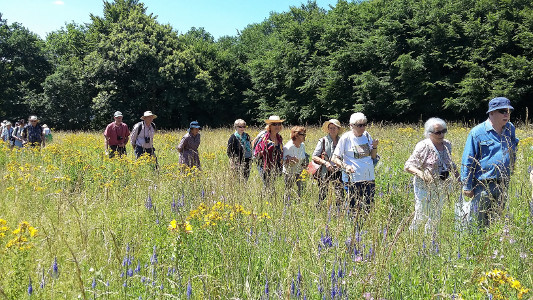 Visites de jardins public ou privés